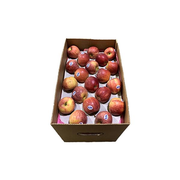 40 lb Royal Gala Apple / Box