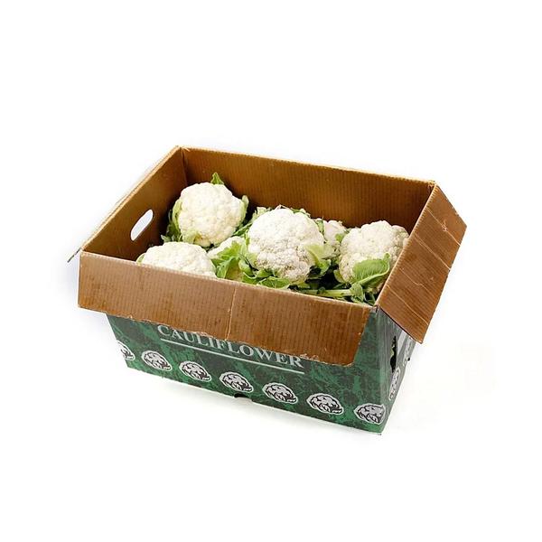 Size 12-Cauliflower Box