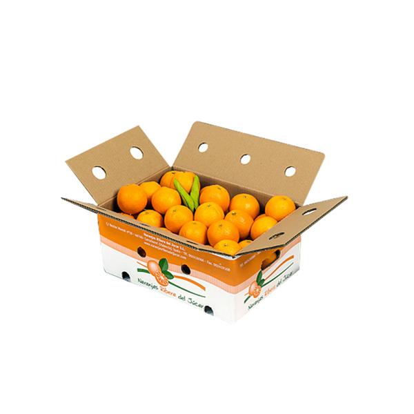 Premium Orange Box