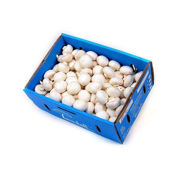 5 lb - White Mushroom / Box
