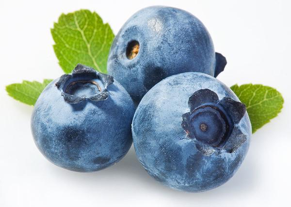 Half Pint 6oz - Fresh Blueberry Pack